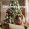 Christmas Songs