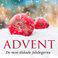 Advent - De mest älskade julsångerna