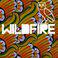 Wildfire