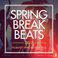 Spring Break Beats 2017 (The Biggest Spring Break Madness)