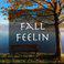 Fall Feelin