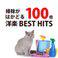 掃除が100倍はかどる洋楽BEST HITS