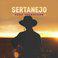 Sertanejo Para Trabalhar