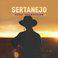 Sertanejo Para Trabalhar