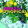 Brazil Tropical