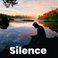 Silence 2020