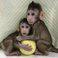 Scientists in China report in the journal Cell the creation of the first monkey clones using somatic cell nuclear transfer, named Zhong Zhong and Hua Hua.