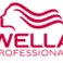 Wella Hair technical director